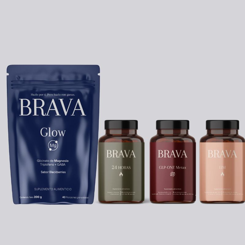 🔥 PROTOCOLO SUMMER BRAVA PDF